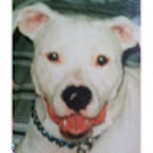 Meet your Posher, Herb